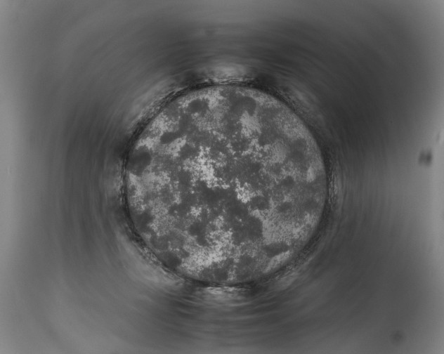 X0000115120367200911171333