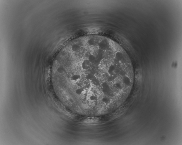 X0000115120369200911171333