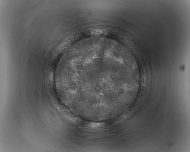 X0000115120375200911171333