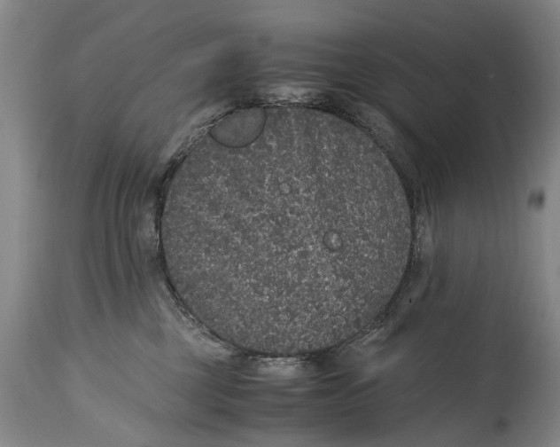 X0000115120377200911171333