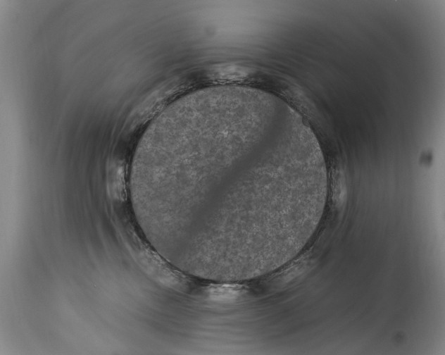 X0000115120378200911171334