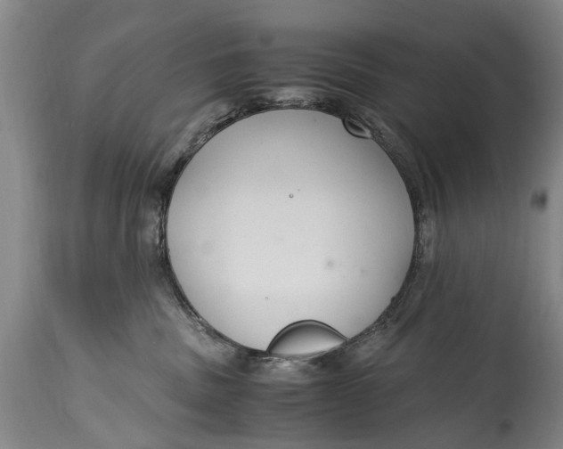 X0000115120379200911171334