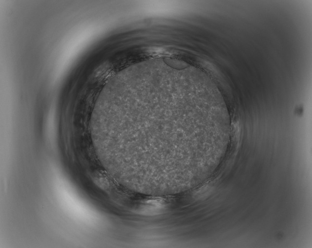 X0000115120381200911171334