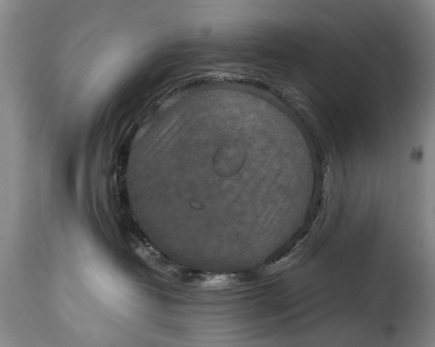 X0000115120382200911171334