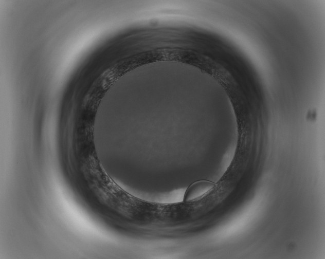 X0000115120383200911171334