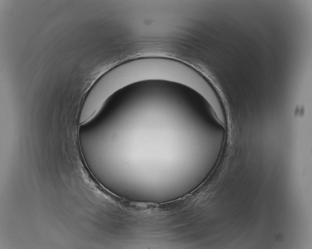 X0000115120385200911171333