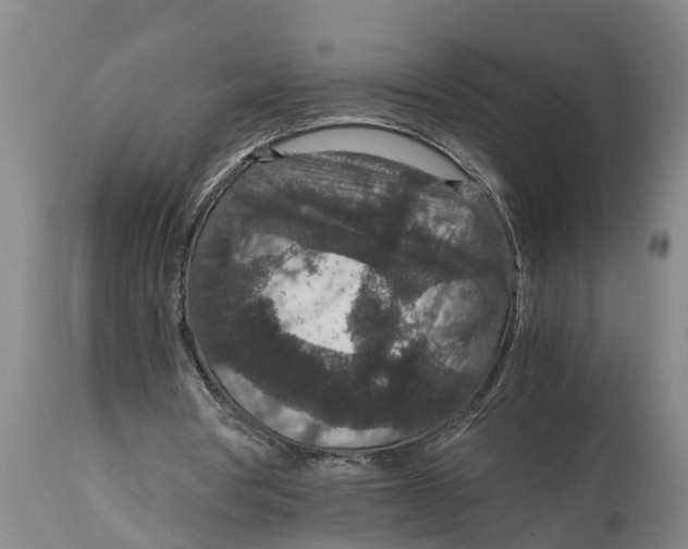 X0000115120386200911171333