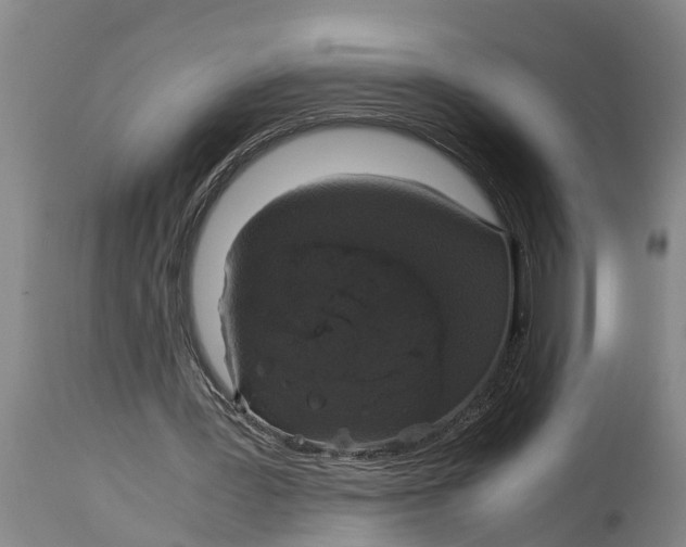 X0000115120387200911171333