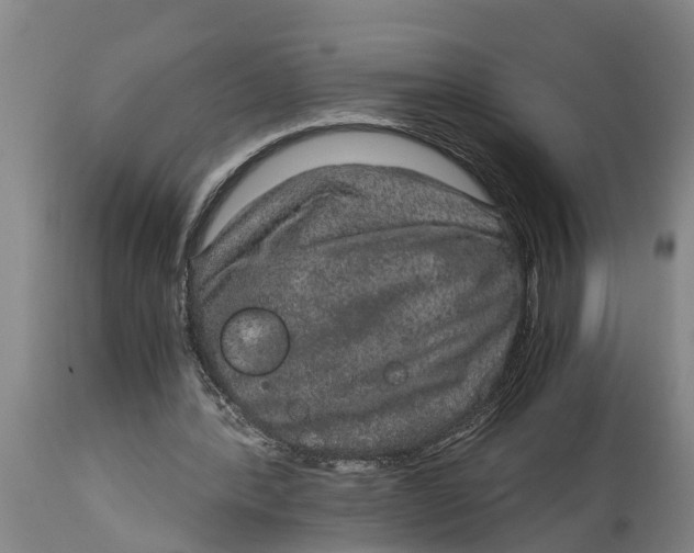 X0000115120388200911171333