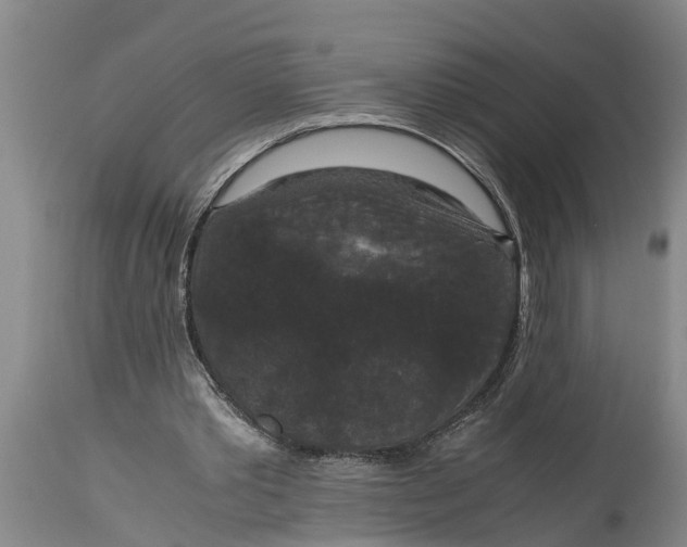 X0000115120389200911171333