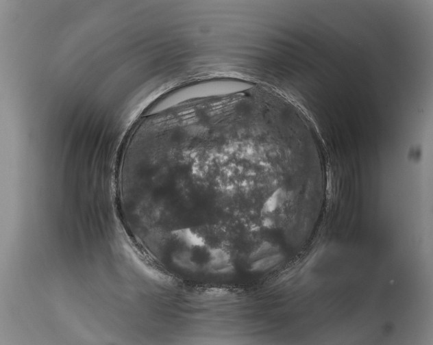 X0000115120390200911171333
