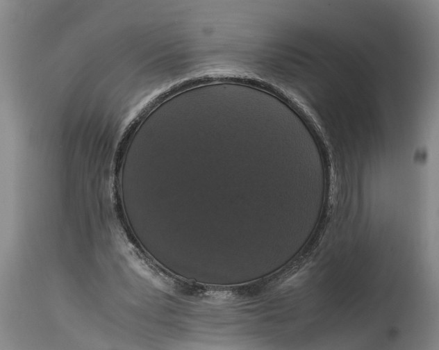 X0000115120391200911171333
