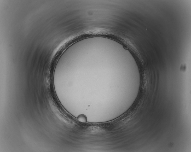 X0000115120392200911171333