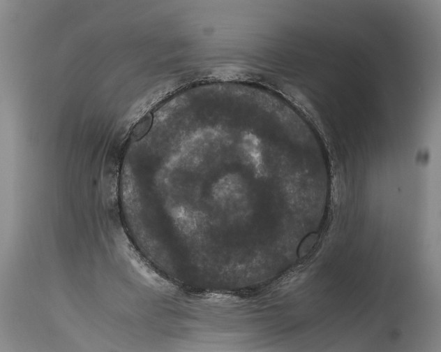 X0000115120393200911171333