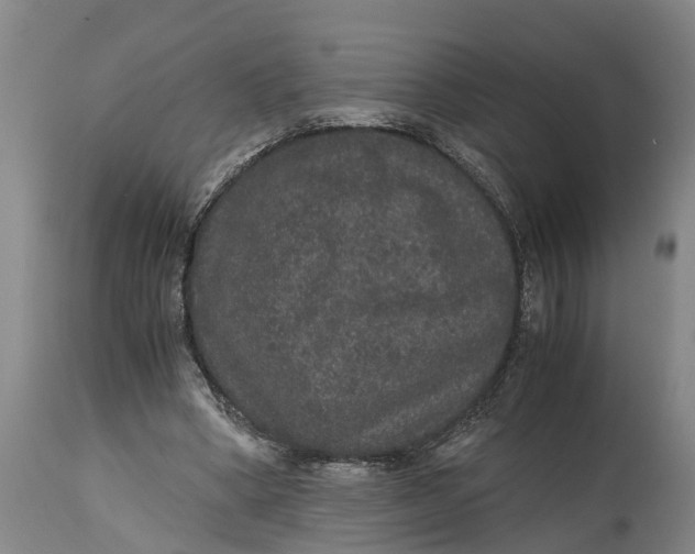 X0000115120394200911171333