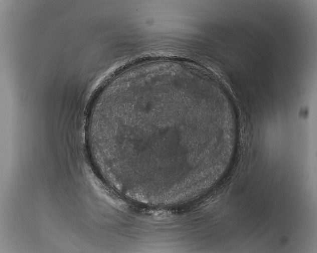 X0000115120395200911171333