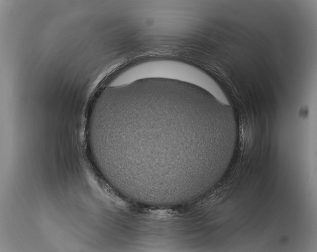 X0000115120396200911171333