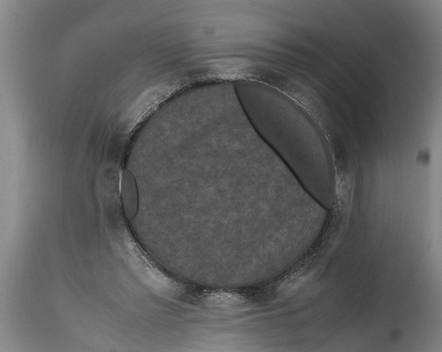 X0000115120397200911171333