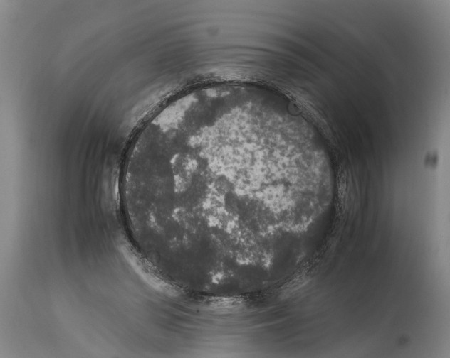 X0000115120398200911171333