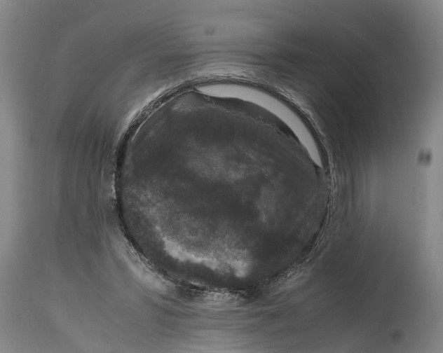 X0000115120399200911171333