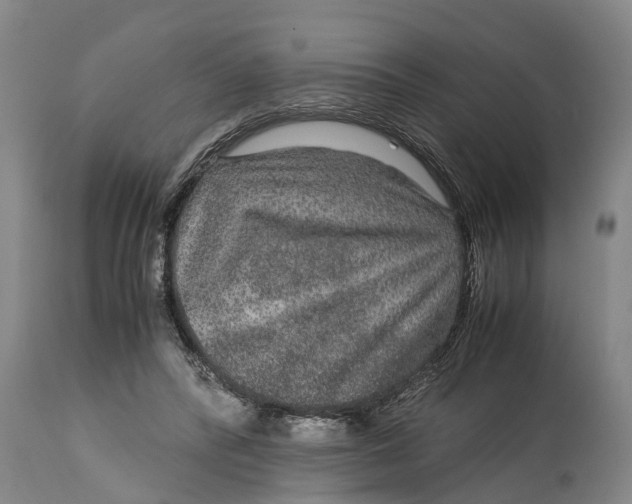 X0000115120400200911171333