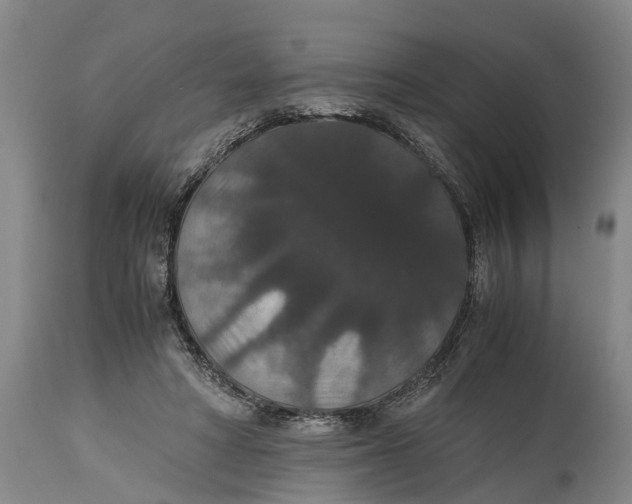 X0000115120402200911171333
