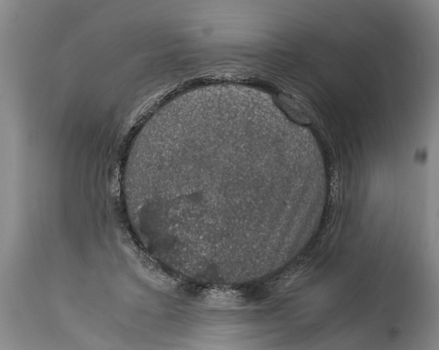 X0000115120403200911171333