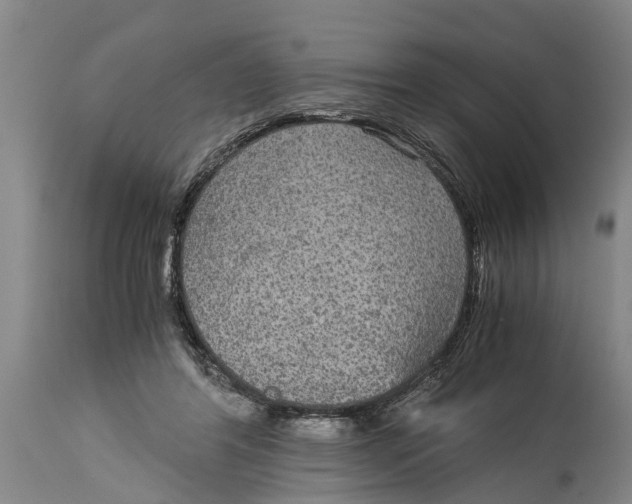 X0000115120404200911171332