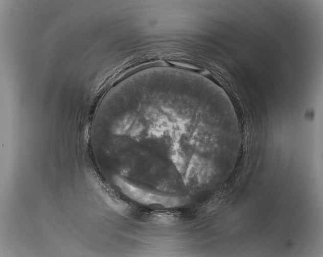 X0000115120405200911171332