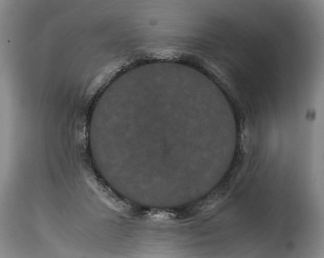 X0000115120407200911171332
