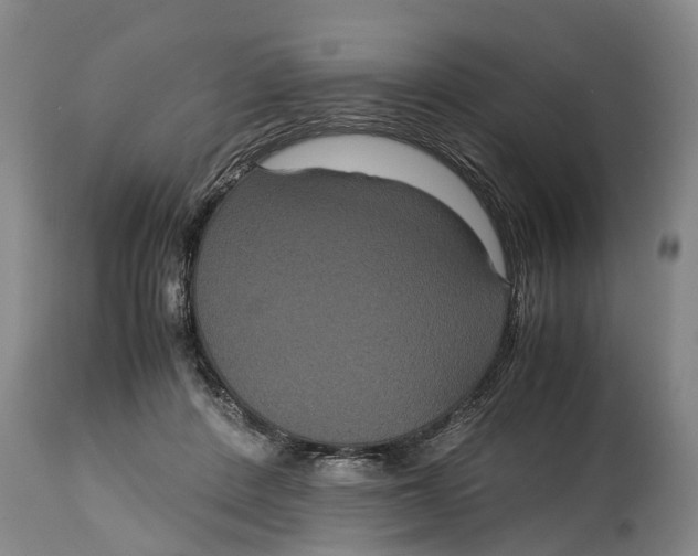 X0000115120408200911171332
