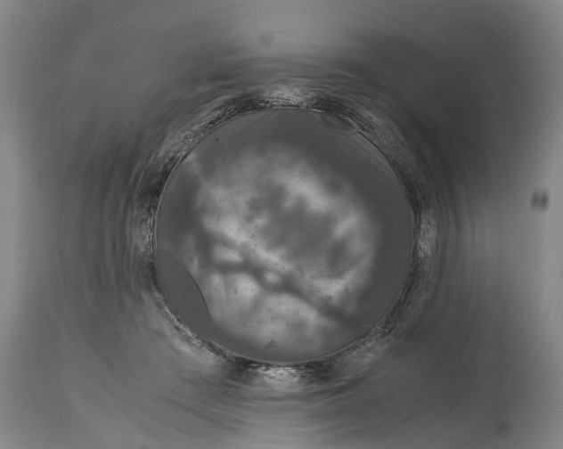 X0000115120409200911171332
