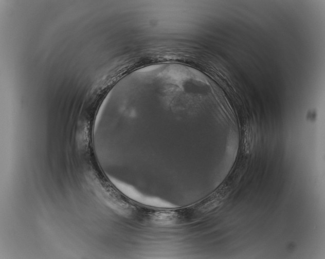 X0000115120410200911171332