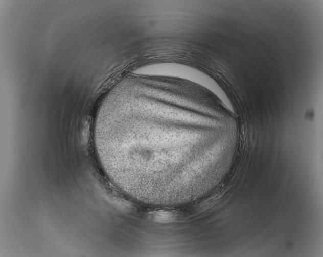 X0000115120412200911171332