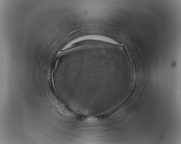 X0000115120413200911171332