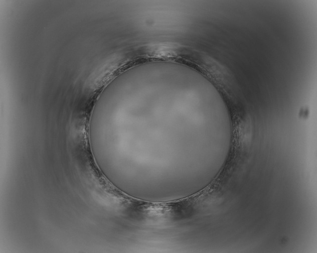 X0000115120415200911171332