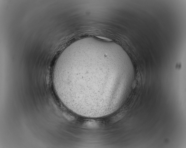 X0000115120416200911171332