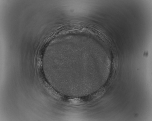 X0000115120417200911171332
