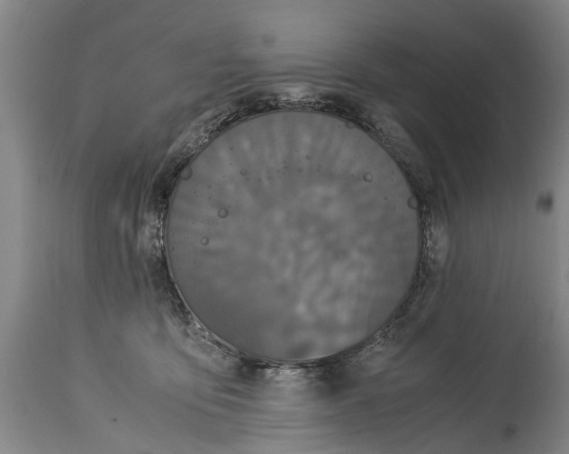 X0000115120419200911171332