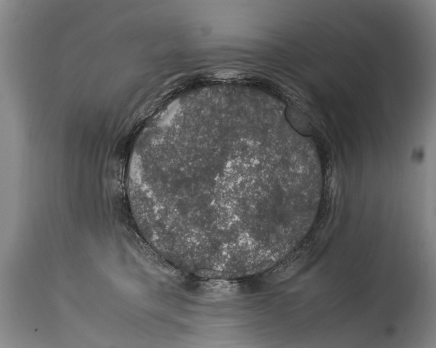 X0000115120421200911171332