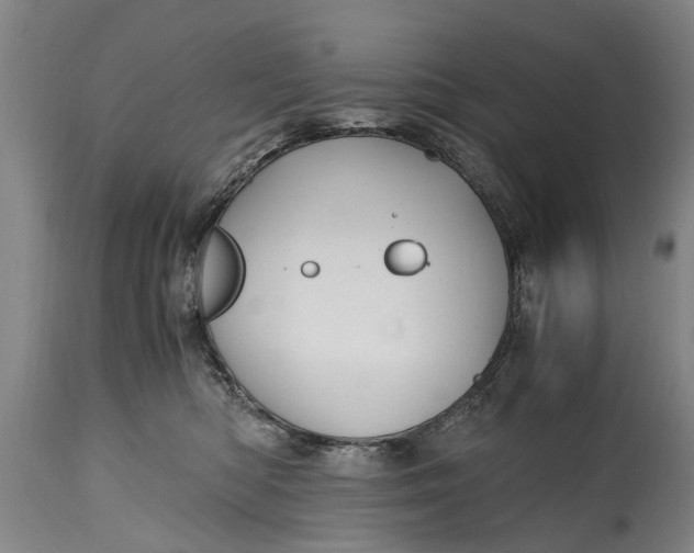 X0000115120422200911171332