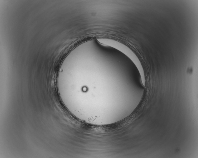 X0000115120423200911171332