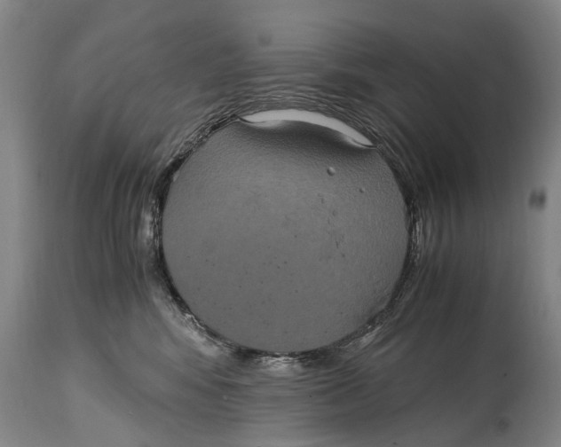 X0000115120424200911171332