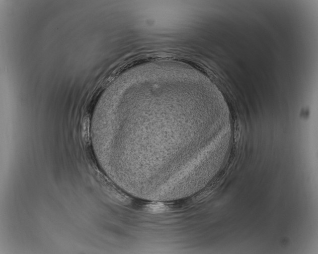 X0000115120425200911171332