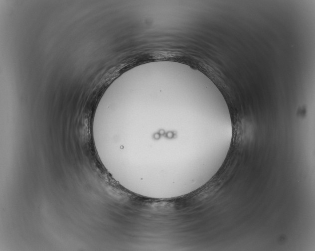 X0000115120426200911171332
