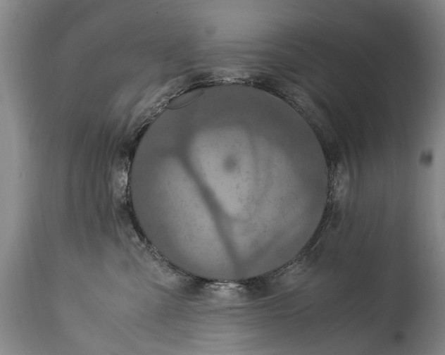 X0000115120427200911171332