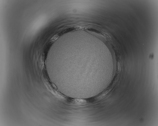 X0000115120429200911171332