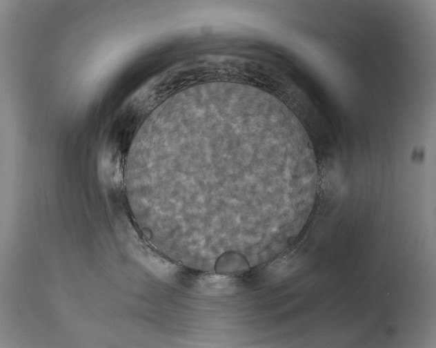 X0000115120431200911171332