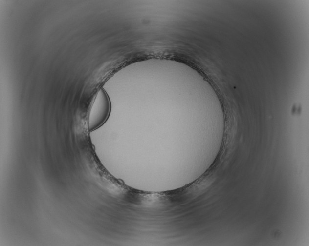 X0000115120432200911171332