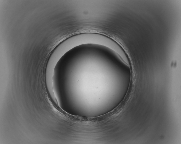 X0000115120433200911171331